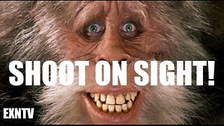 Help Me Hunt & Kill Every Single Bigfoot And Outbreak Monkey, It's For The Children! Kill All Cryptids!