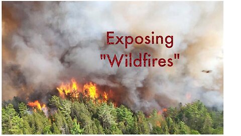 Arborist Robert & Tiffany discuss D.E.W Fires