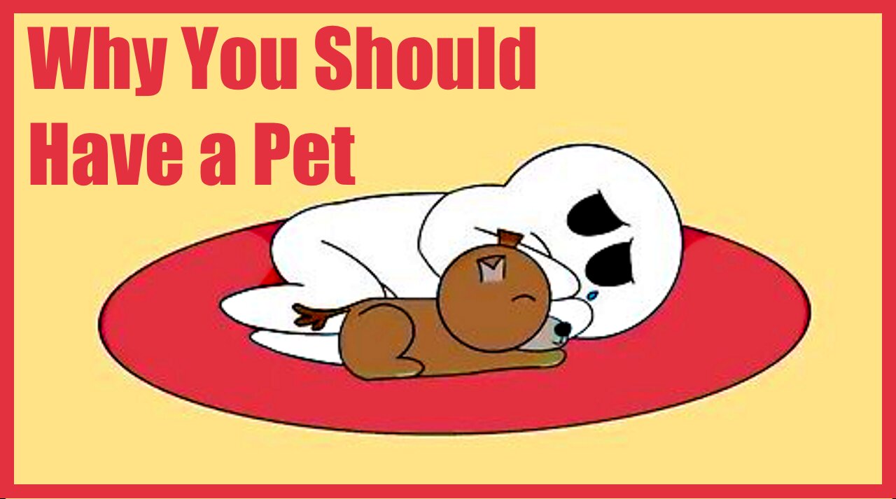 Why You Should Have a Pet