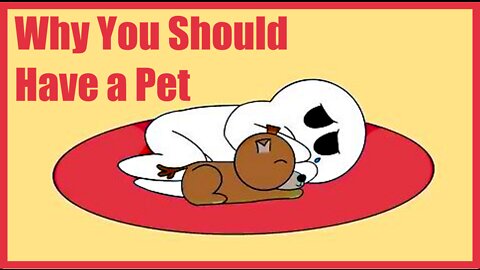 Why You Should Have a Pet