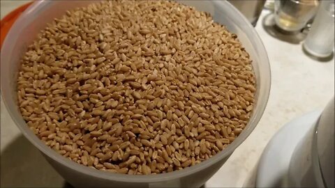 Flour power: Milling Montana Gold