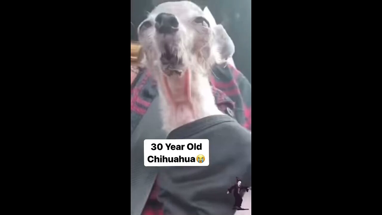 They call it old