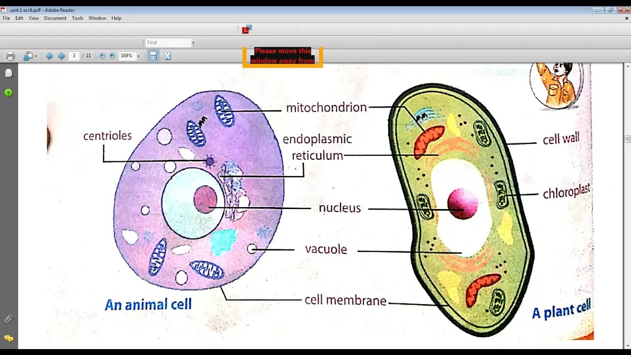 Science Class 6 03 4 2021