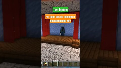 It's rude! #minecraft #rp