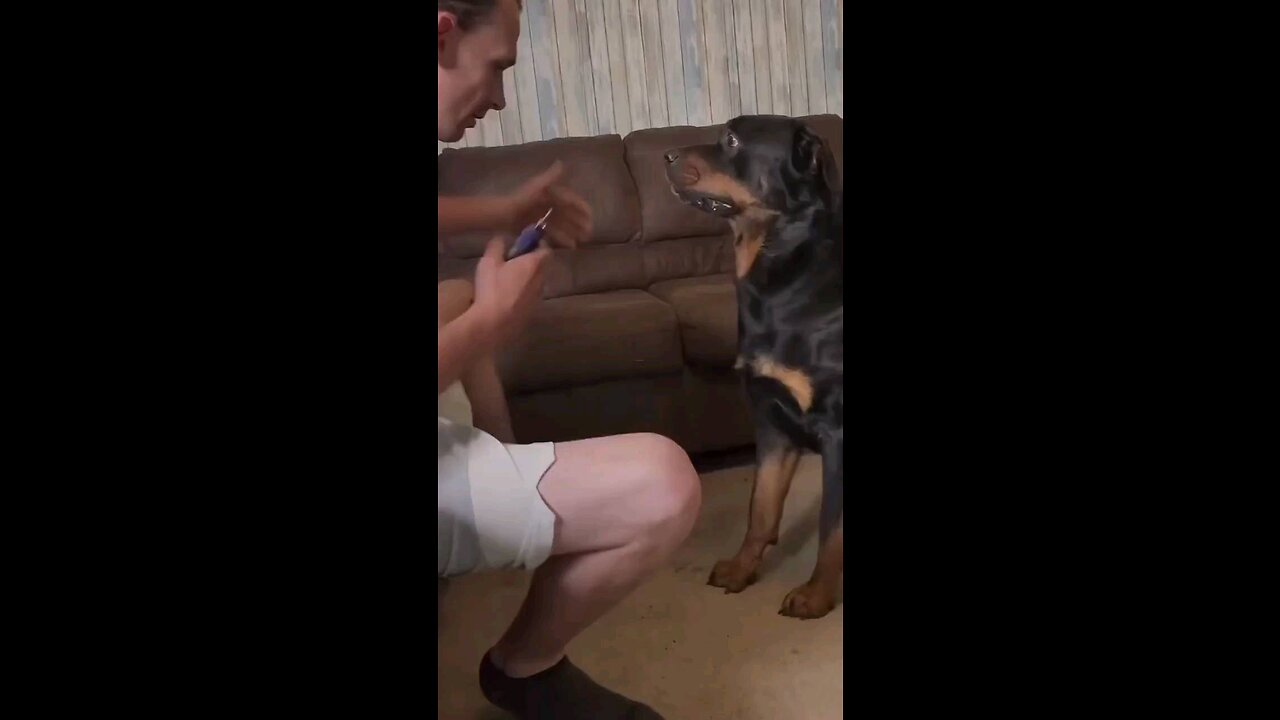 The dog's reaction was weird but in the end