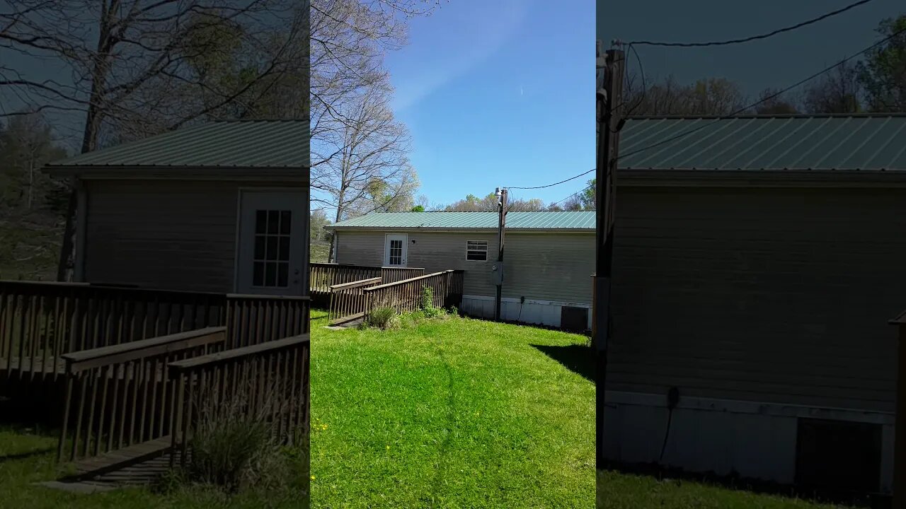 Woodpecker is helping out.