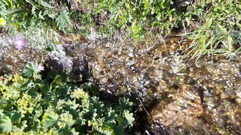 Derenin Narin Akışı.