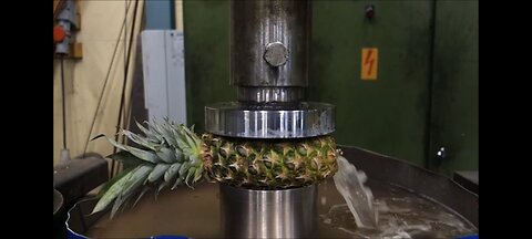 Fruits VS Hydraulic Press || Will Fruits can Survive?