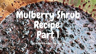 Mulberry Shrub Recipe- Part 1