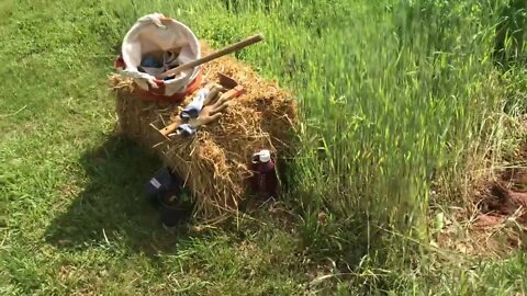 Why sideways forever strawberry beds