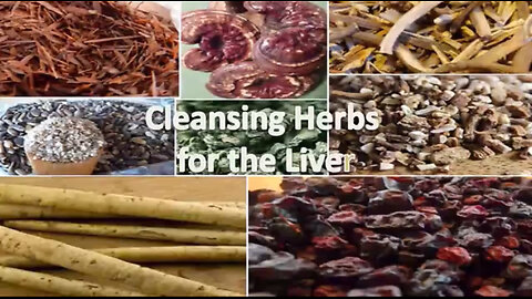 Cleansing Herbs for the Liver and More | Healing Herbs for Detoxification