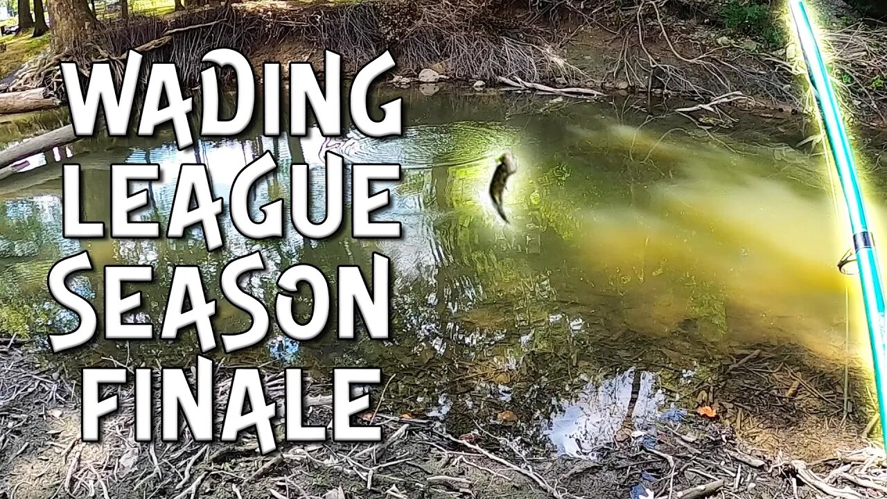 Wading League Season Finale - Where did I place?