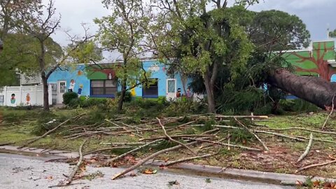 Storm knocks tree down into daycare in St. Petersburg