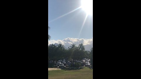 Aloha Friday