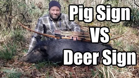 How to tell pig sign from deer sign with Jason Samkowiak