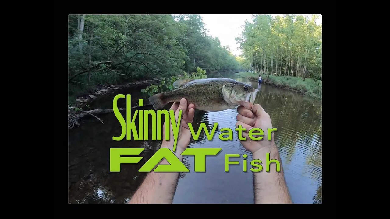 Searching for FAT fish in SKINNY waters!