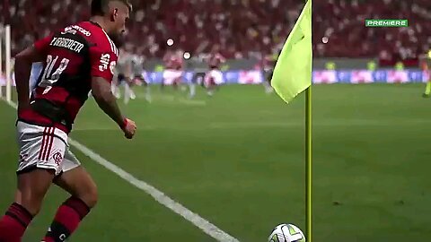 a vitória do Santos no Flamengo