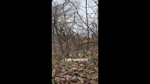 Ukrainian soldier attempts to destroy a Russian tank, but the tank responds
