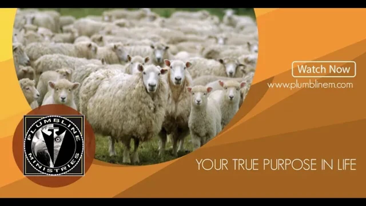 Your TRUE PURPOSE In Life