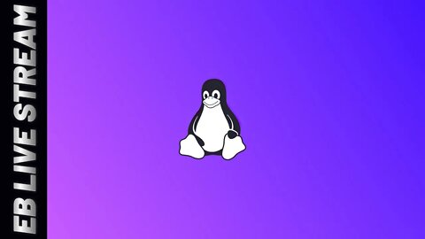 Chilling In Linux on Budget AMD PC