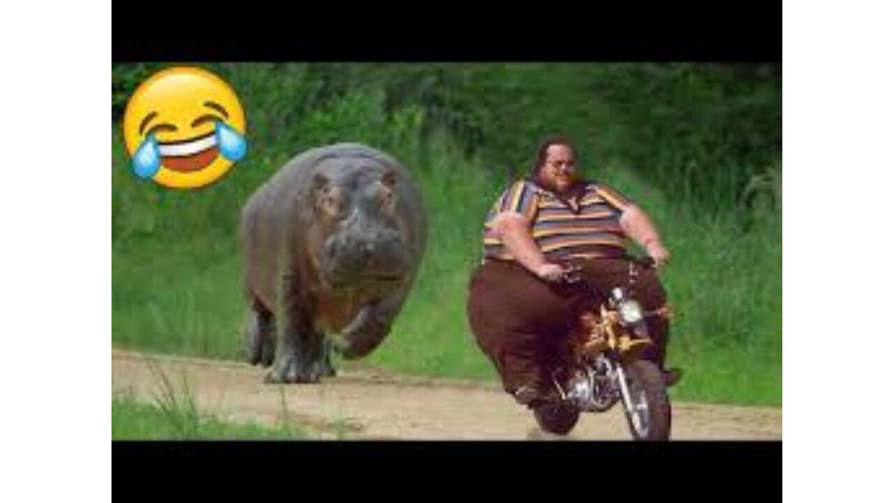 Best Funny Videos 🤣 - People Being Idiots / 🤣 Try Not To Laugh - 🏖️ #9