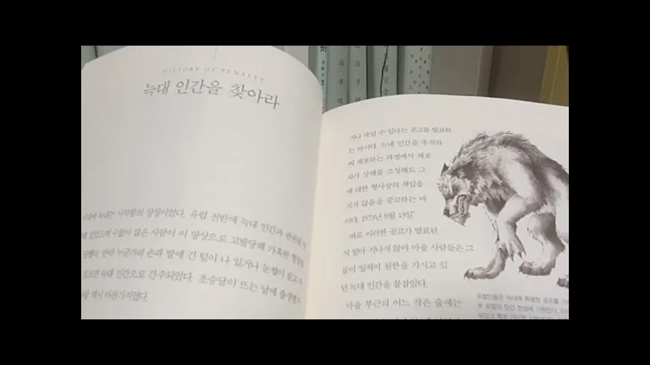 형벌의 역사, 장신광, 그림, 프랑스북부, 가르니에, 중세 사악함, 체포, 늑대인간을 찾아라, 정부의 권한서