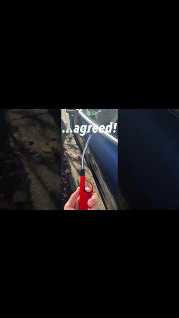 I would burn it! #tesla #teslamodely #spider #nope