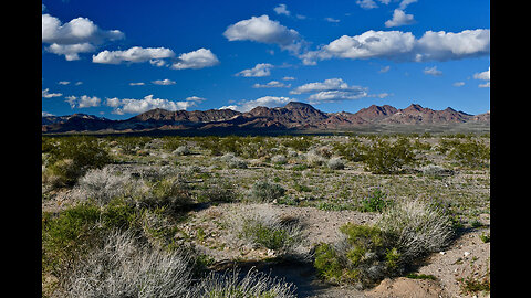 In The Desert Of Nevada