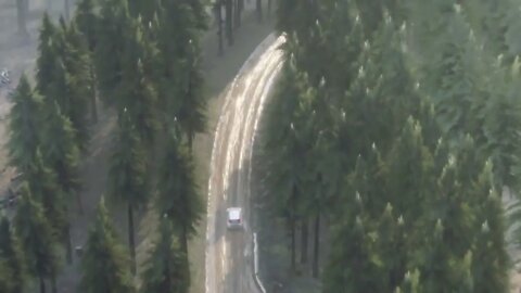 DiRT Rally 2 - RallyHOLiC 11 - Scotland Event - Stage 2 Replay