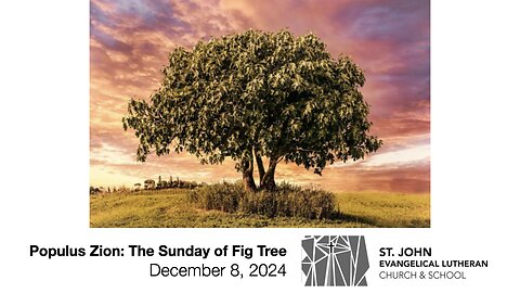 Populus Zion: The Sunday of Fig Tree — December 8, 2024