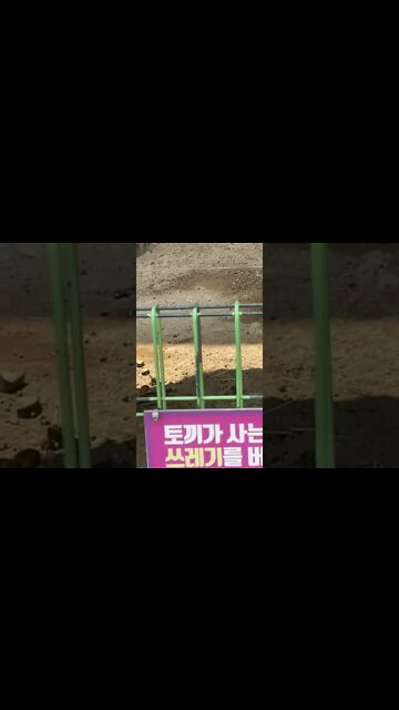 어린이대공원 토끼