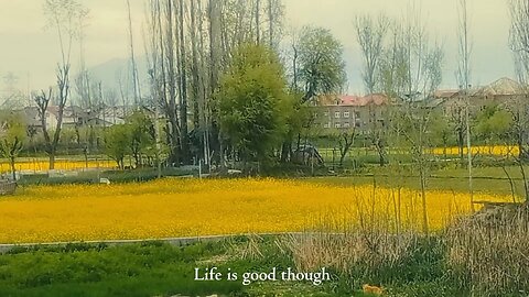 Mac Miller - Life Is Good | Relaxing Visuals | Short Film