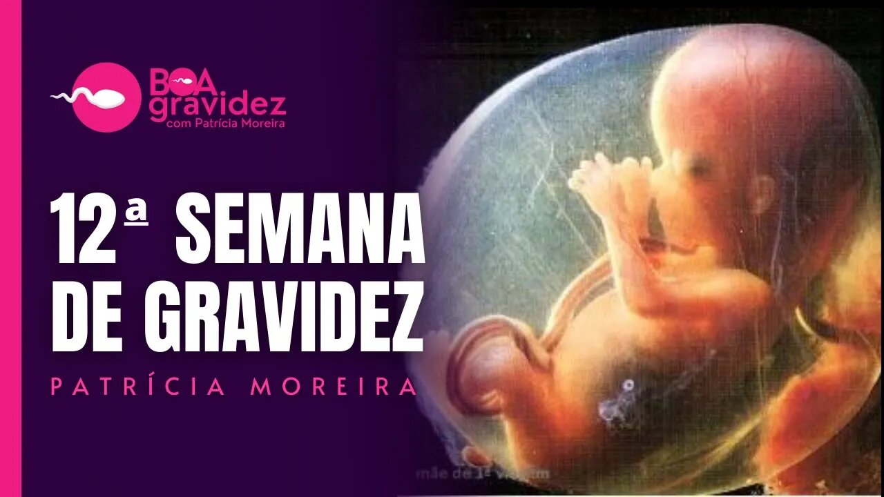 12 SEMANAS DE GRAVIDEZ - Gravidez Semana a Semana com Patrícia Moreira