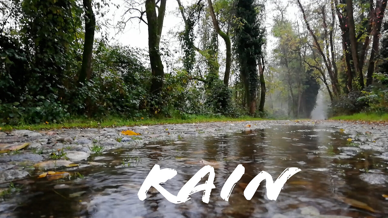 Rain Ambience for Studying or Sleeping