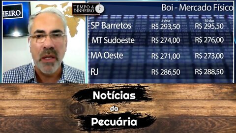 Boi gordo patina com mercado travado e férias coletivas da indústria