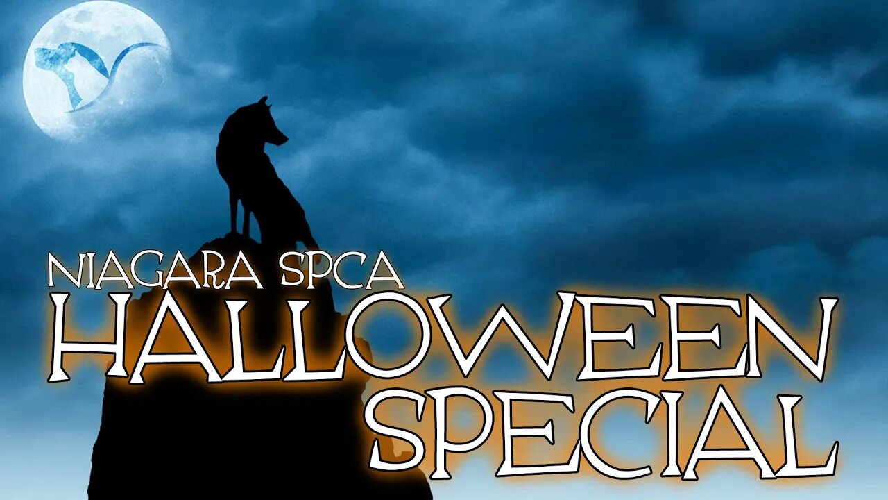 Niagara SPCA Halloween Special