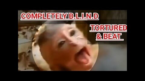 B•L•I•N•D (YES, I said "BLIND") BabyMonkey (VIGO) & the ABUSE & TORTURE received DAILY!!!!