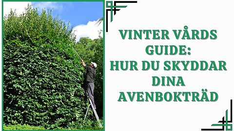 Vinter vårds guide: Hur Du Skyddar Dina Avenbokträd