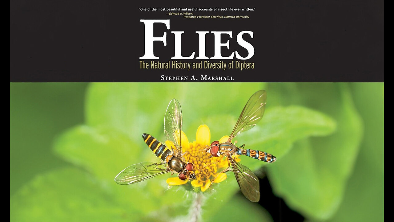 Flies: The Natural History and Diversity of Diptera