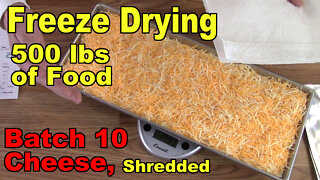Freeze Drying Your First 500 lbs of Food - Batch 10 - Cheese, Shredded