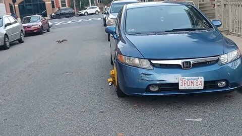 no shortage of boots in the city of Boston