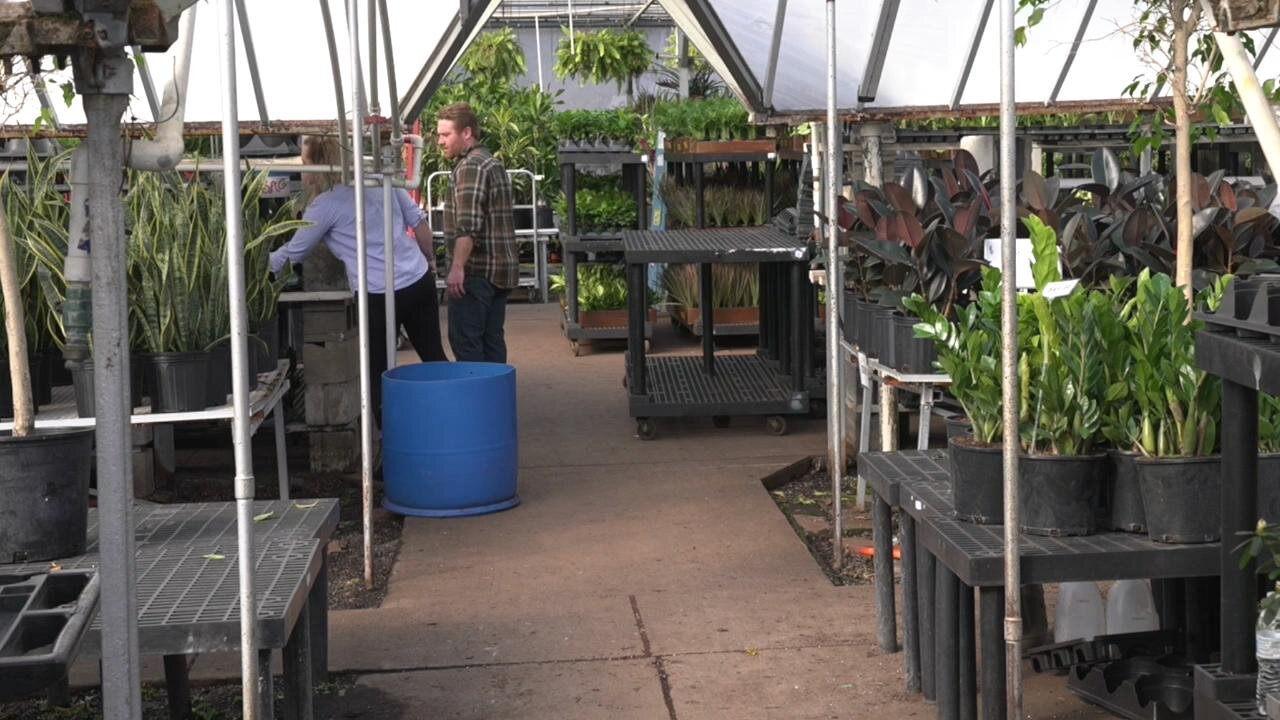 From part-timer to owner: Local man buys flower shop he worked in as teen