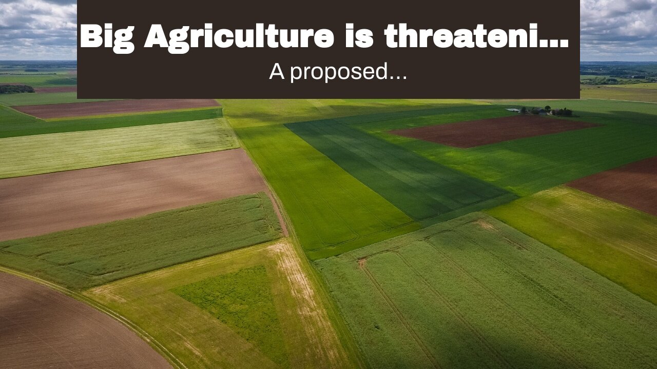 Big Agriculture is threatening rural America's future.