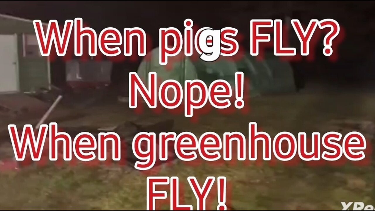 When pigs FLY? NOPE! WHEN GREEN HOUSES