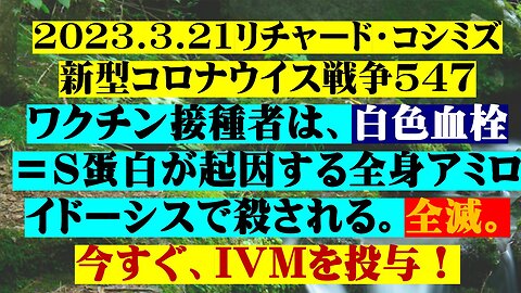 2023.3.21リチャード・コシミズ新型コロナウイス戦争５４７