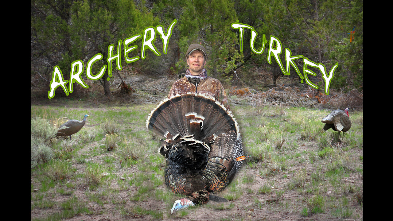 Utah Archery Turkey Bow Hunt