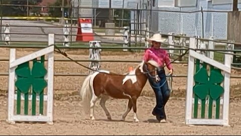 Nora and Elle - mini in hand Trail - Lenawee County Fair 23 July 2024