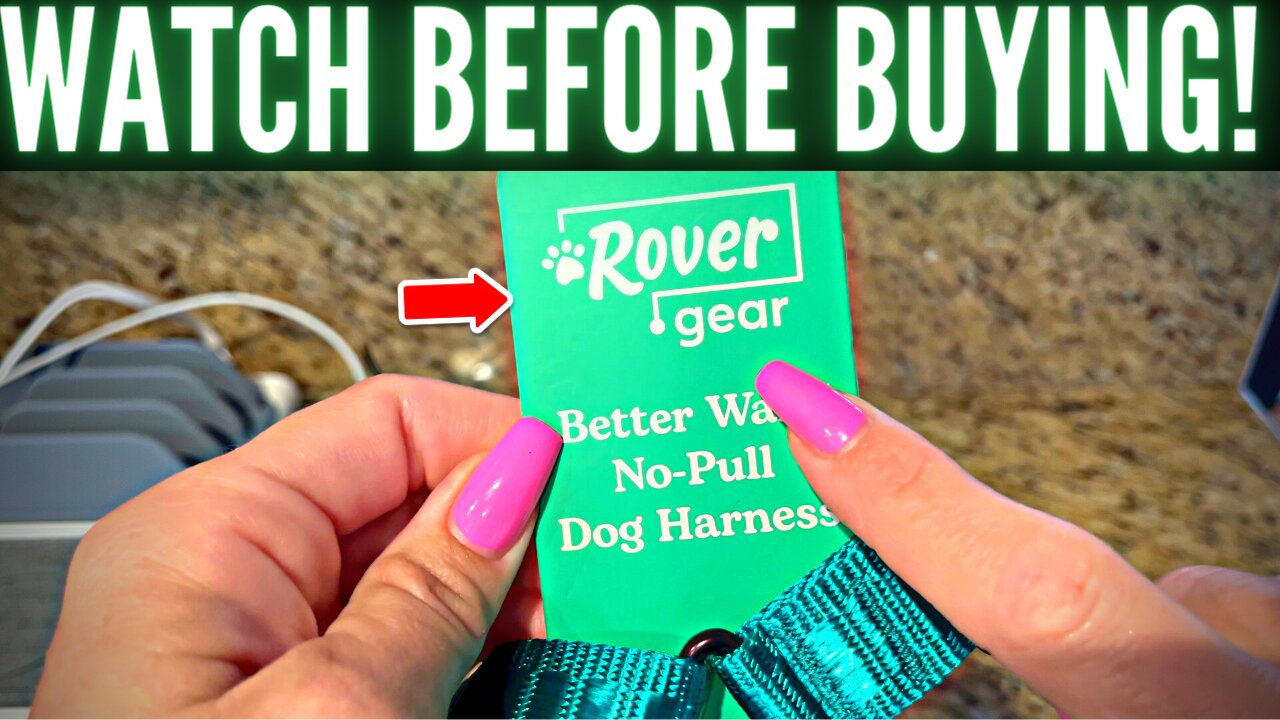 Rover Gear Better Walk No Pull Dog Harness (Full Review)