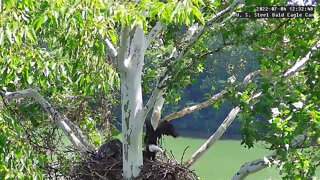 USS Eagles - USS 5 crashes into Mom