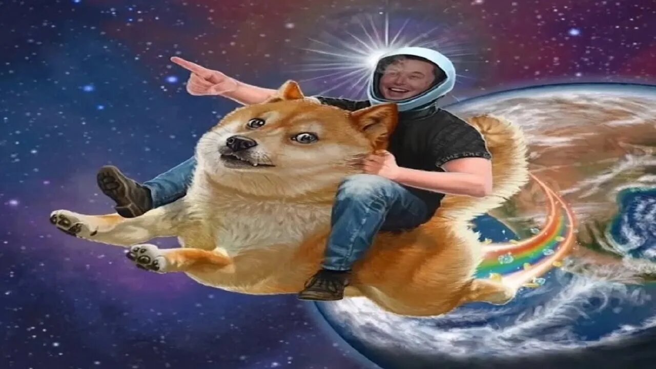 Dogecoin & Elon Musk to the moon!